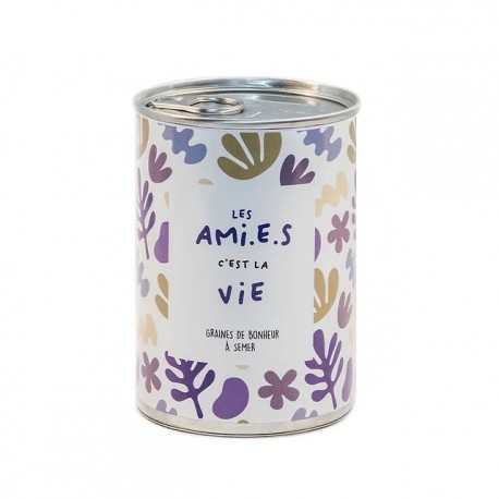 Cadeau pour copine: Kit graines à planter