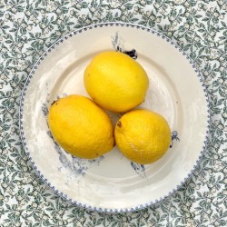 Toile cirée vert Citron