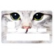 Sticker CB chat blanc