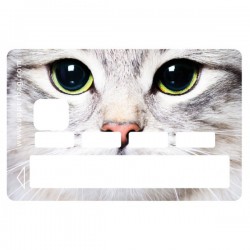 Sticker CB chat blanc