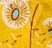 Motif jaune petites fleurs